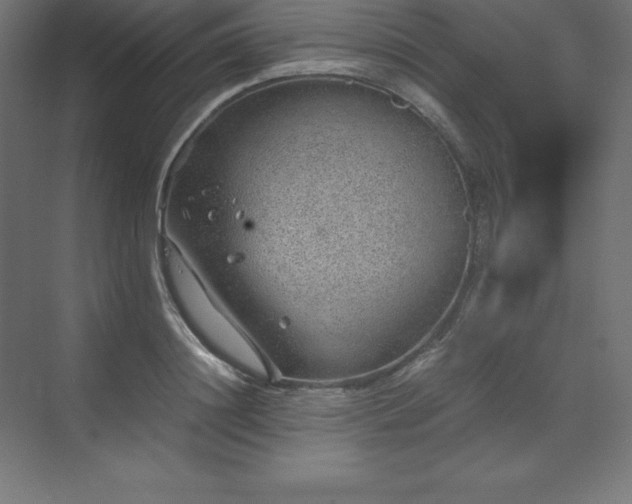 X0000070210844200606021253