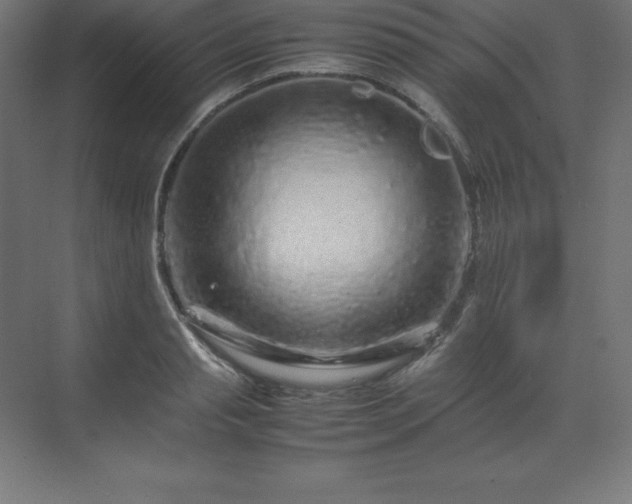 X0000070210845200606021253