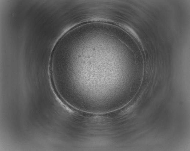 X0000070210847200606021253