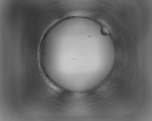 X0000070210848200606021253