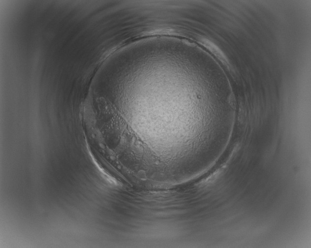 X0000070210849200606021253