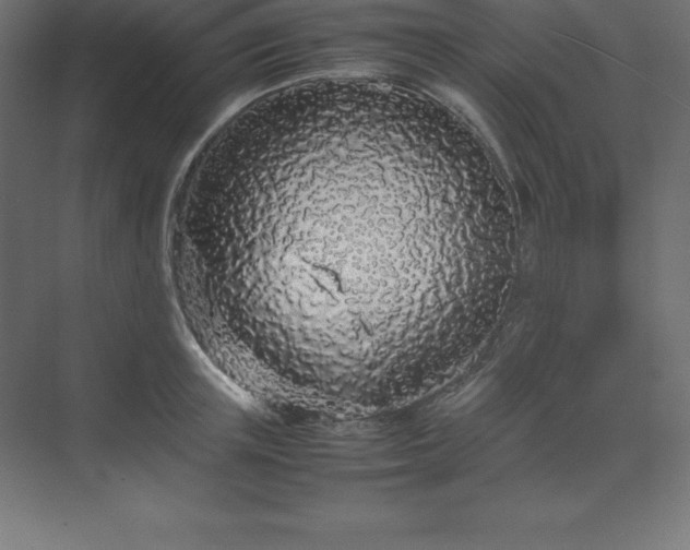 X0000070210851200606021253