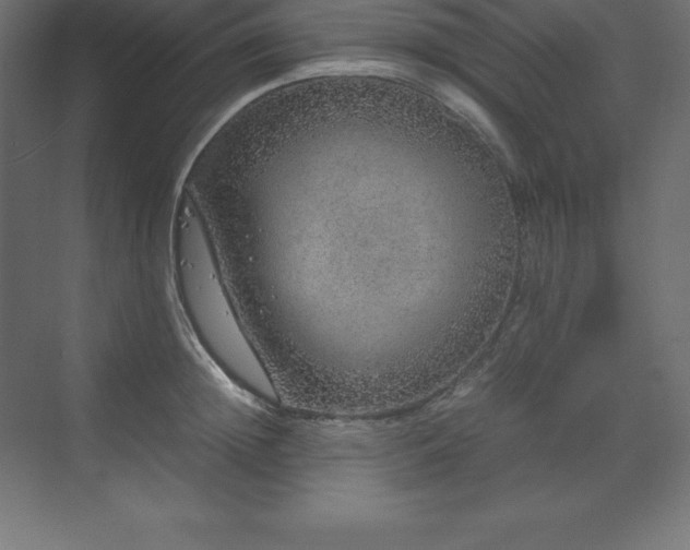 X0000070210852200606021253