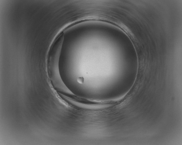 X0000070210854200606021253