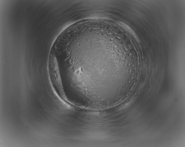 X0000070210855200606021253