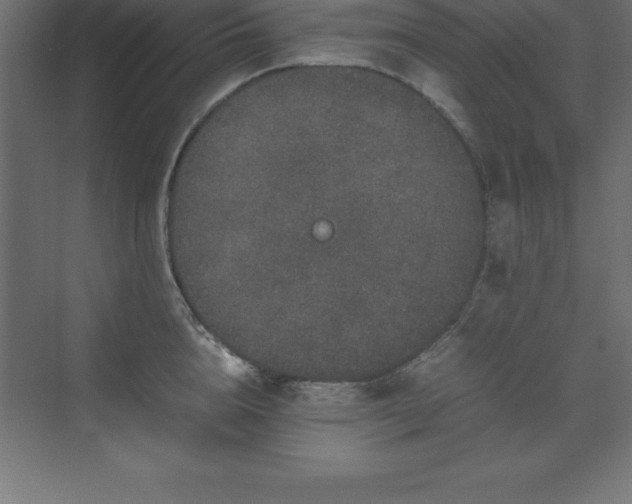 X0000070210856200606021253