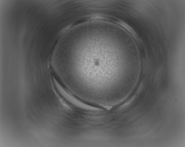 X0000070210857200606021253