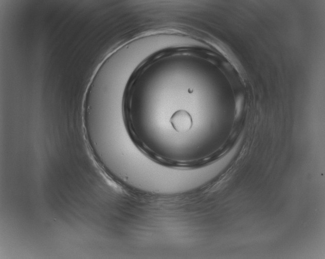 X0000070210858200606021253