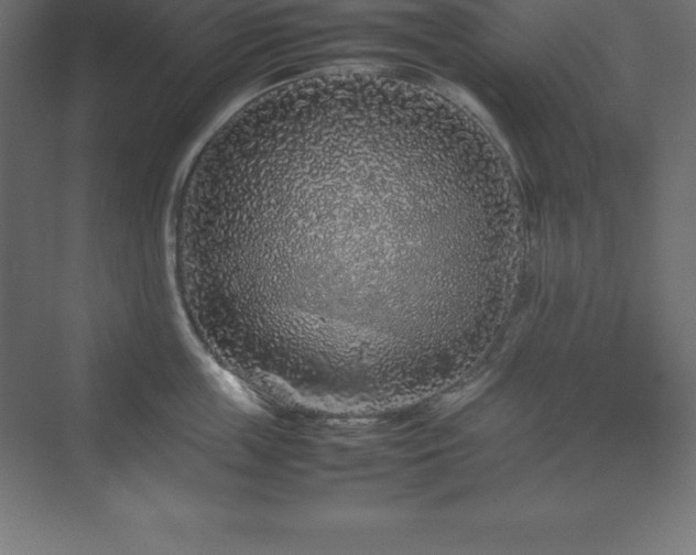 X0000070210859200606021253