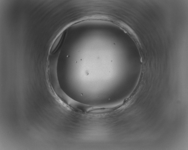 X0000070210860200606021253