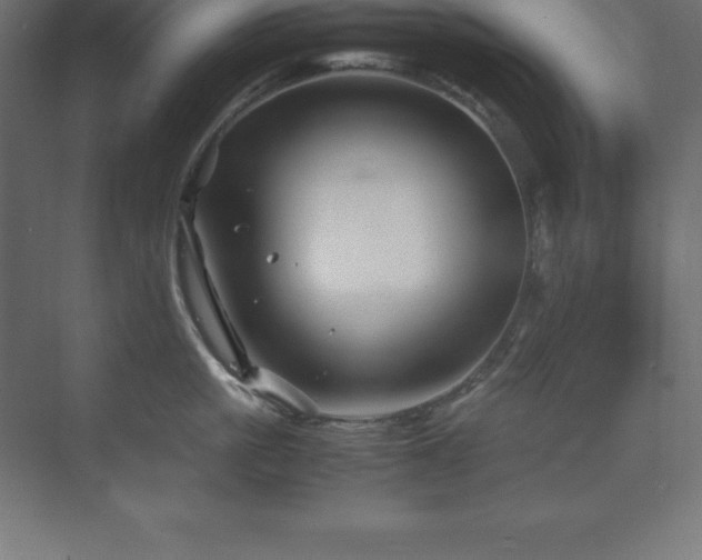 X0000070210861200606021253