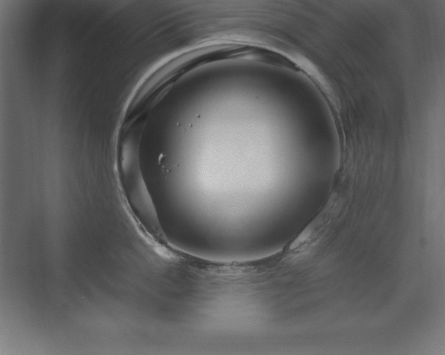 X0000070210862200606021253