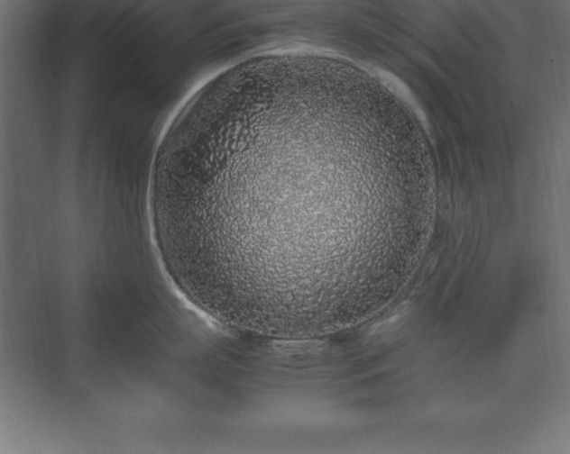 X0000070210863200606021253