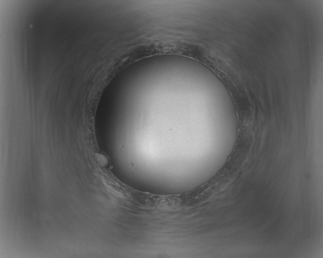 X0000070210865200606021253