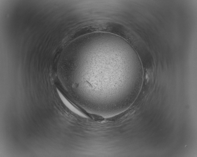 X0000070210867200606021252