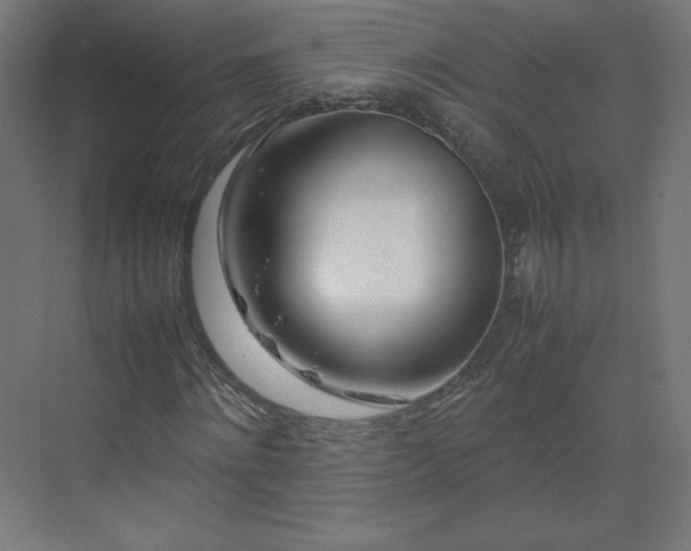 X0000070210868200606021252