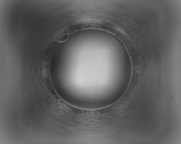 X0000070210869200606021252