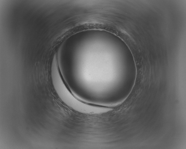 X0000070210870200606021252