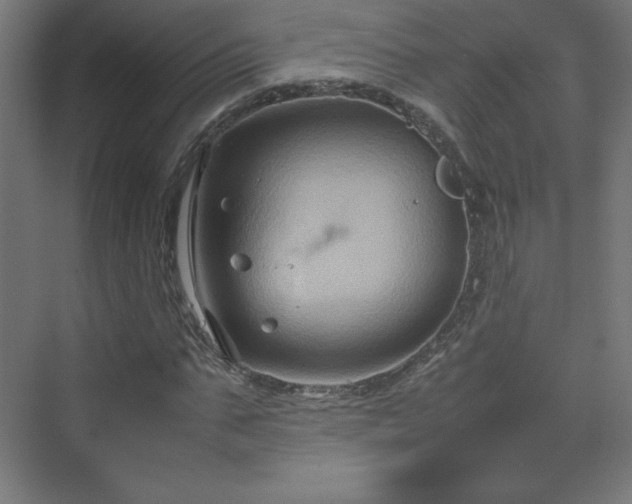 X0000070210871200606021252