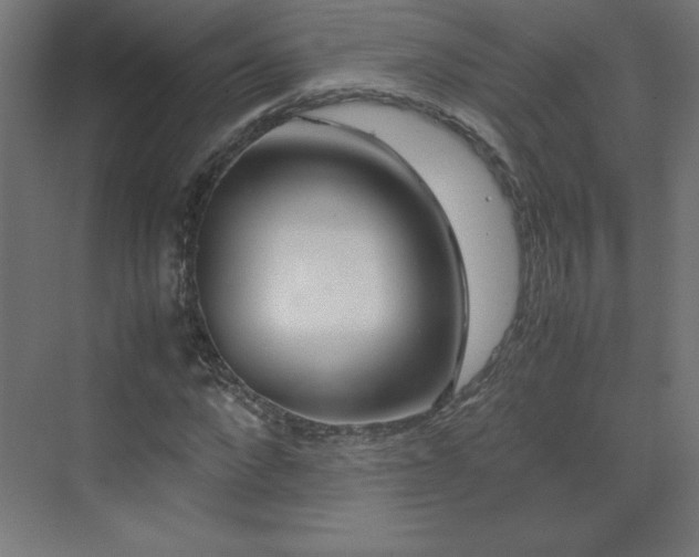 X0000070210872200606021252