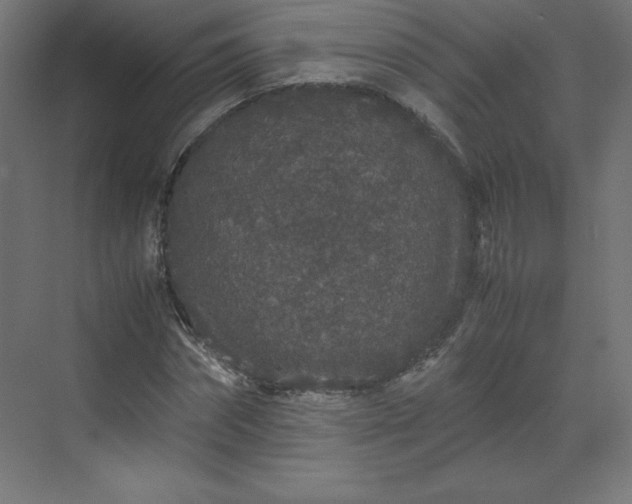 X0000070210874200606021252