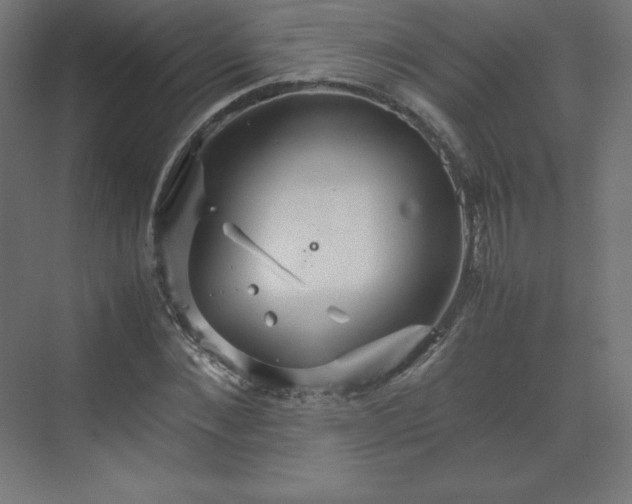 X0000070210876200606021252