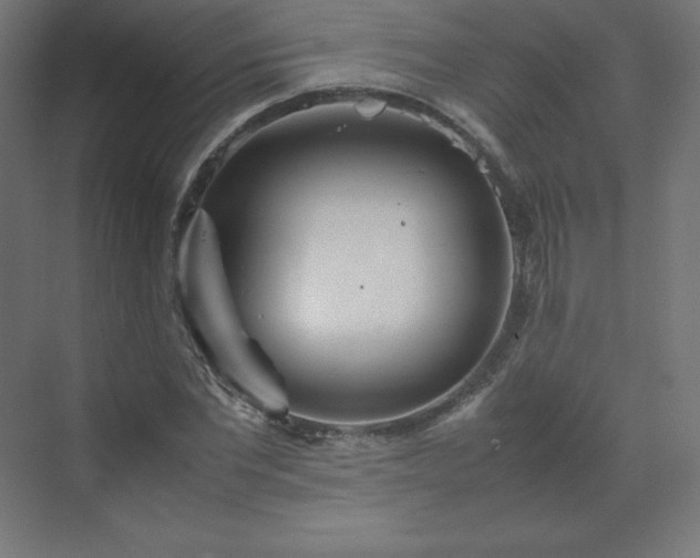 X0000070210877200606021252