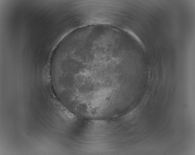 X0000070210878200606021252