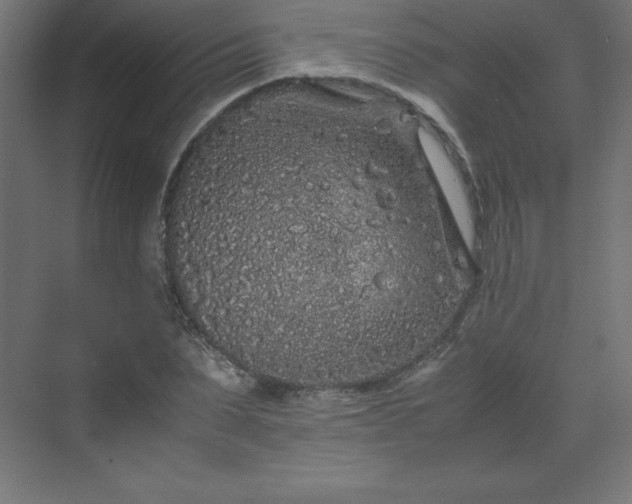 X0000070210879200606021252