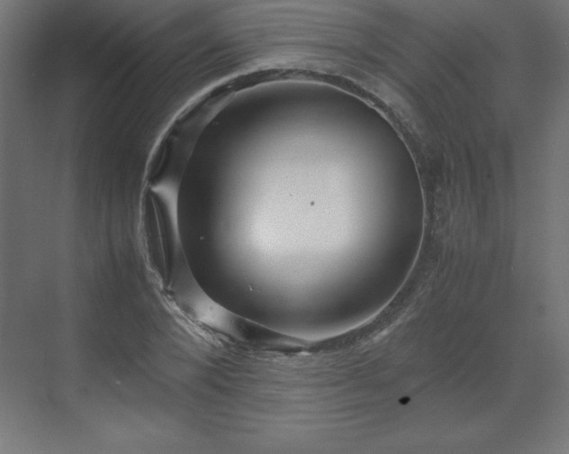 X0000070210880200606021252