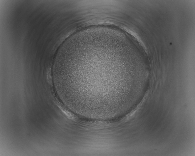 X0000070210881200606021252