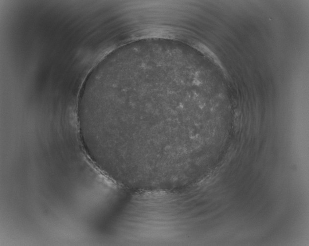 X0000070210882200606021252