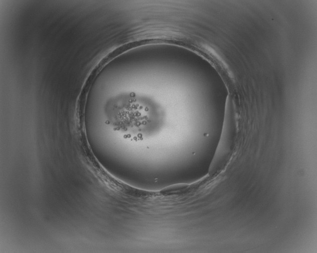 X0000070210883200606021252