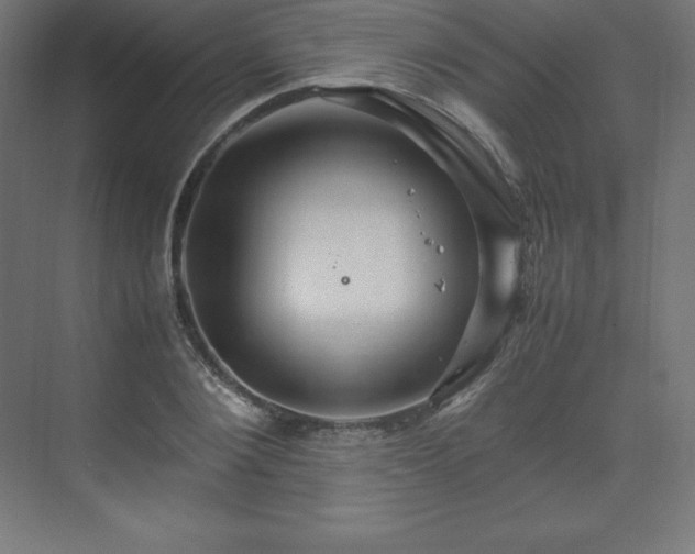 X0000070210884200606021252