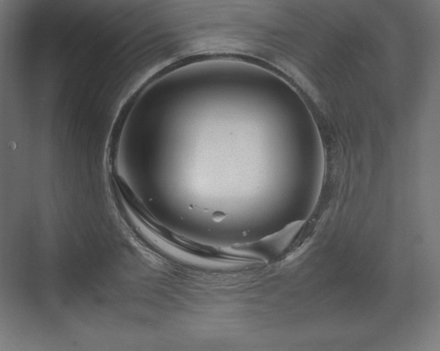 X0000070210885200606021252