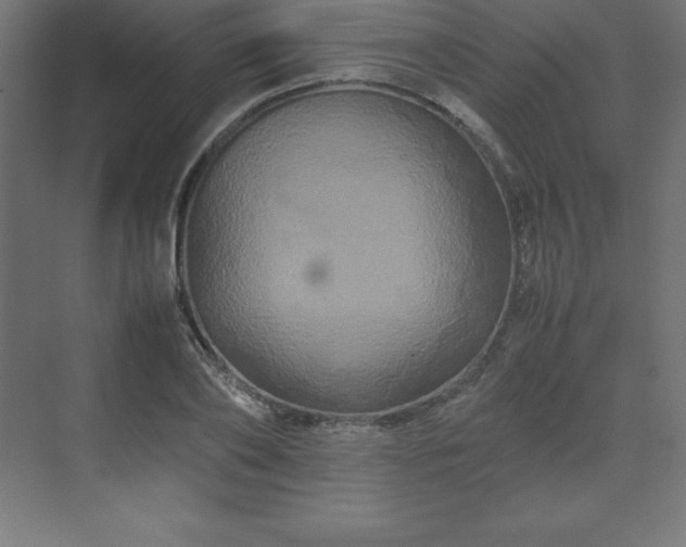 X0000070210886200606021252