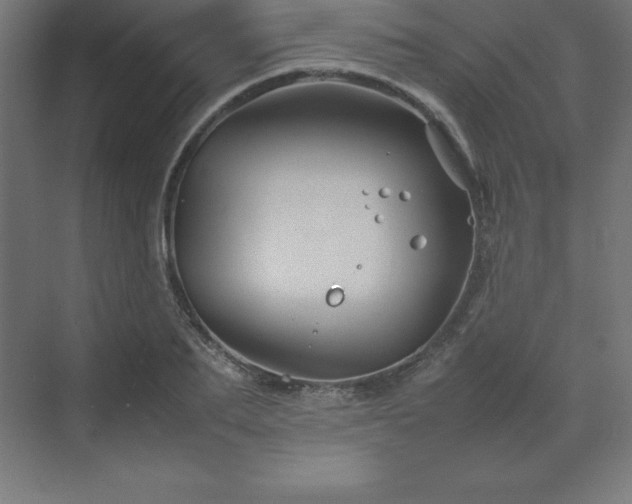 X0000070210887200606021252