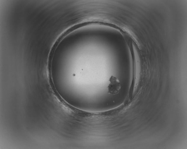 X0000070210888200606021252