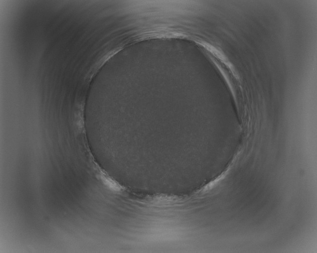 X0000070210889200606021252