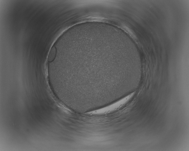 X0000070210891200606021252