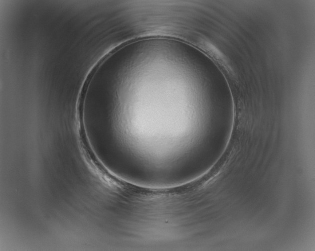 X0000070210892200606021252