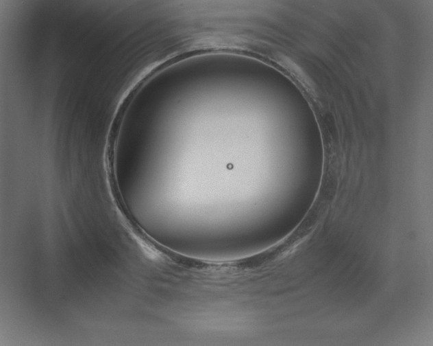 X0000070210893200606021252