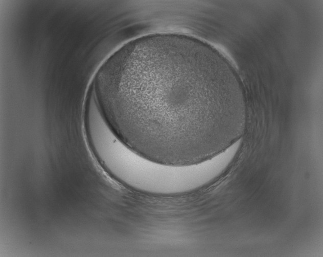 X0000070210895200606021252