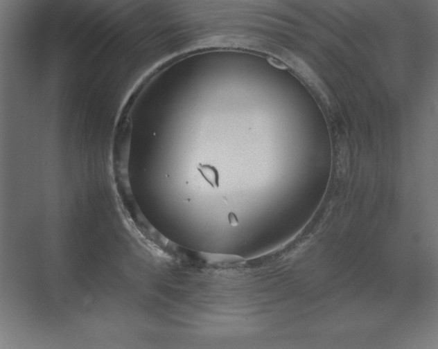 X0000070210896200606021252