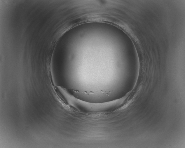 X0000070210897200606021252