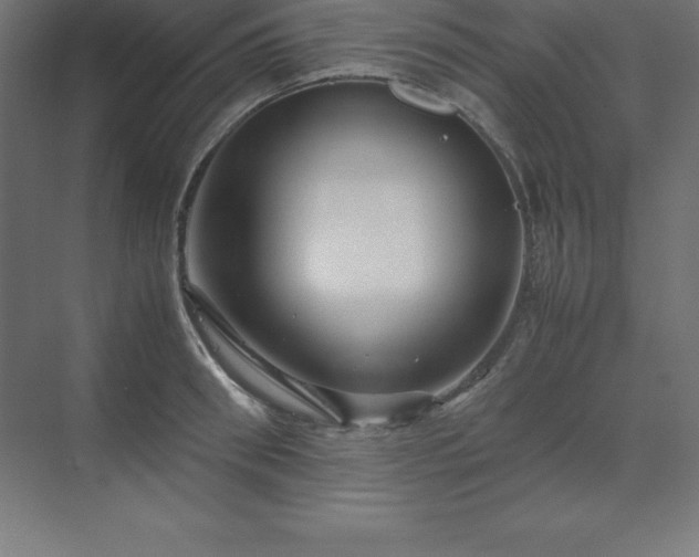 X0000070210898200606021252