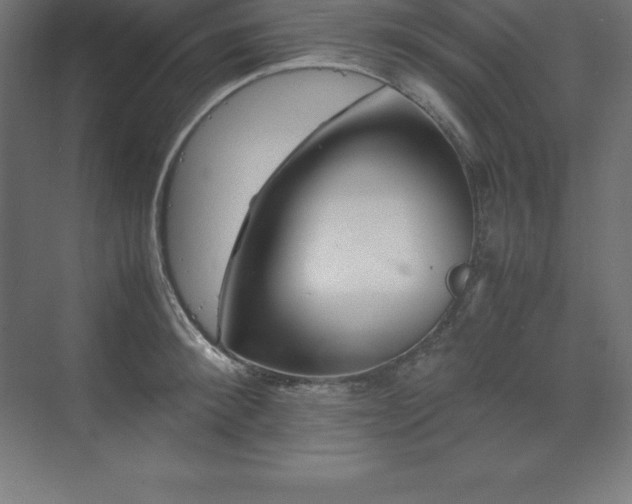 X0000070210900200606021252