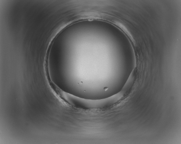 X0000070210901200606021252