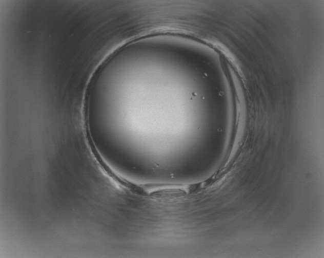 X0000070210902200606021252