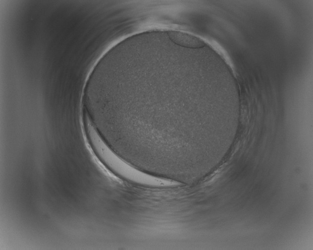 X0000070210903200606021252